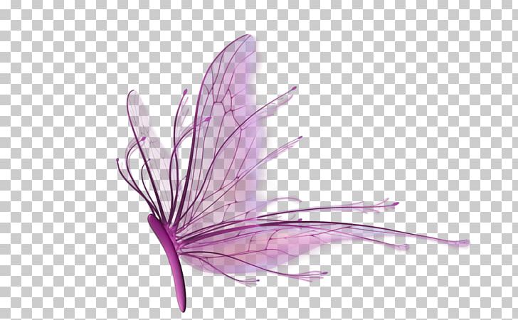 purple dragonfly clipart