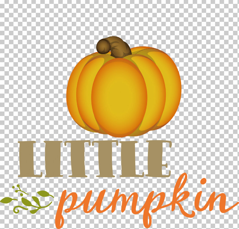Little Pumpkin Thanksgiving Autumn PNG, Clipart, Autumn, Fruit, Little Pumpkin, Logo, Meter Free PNG Download