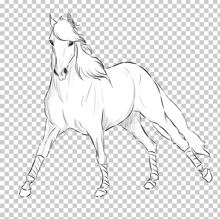 Andalusian Horse Mane Shire Horse Mustang Stallion PNG, Clipart, American Indian Horse, Andalusian Horse, Animal Figure, Artwork, Black And White Free PNG Download