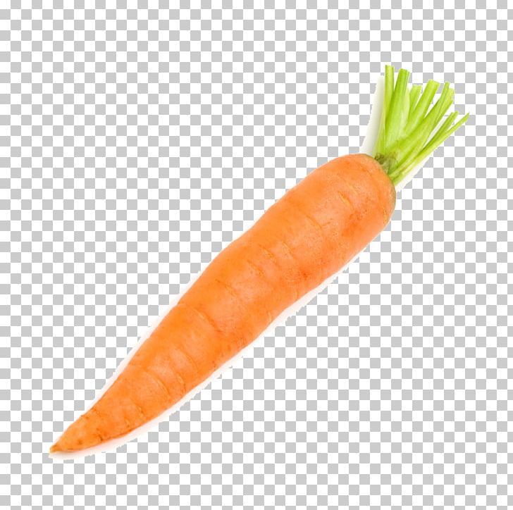 Carrot Vegetable Radish PNG, Clipart, Adobe Illustrator, Baby Carrot, Bunch Of Carrots, Carrot, Carrot Cartoon Free PNG Download