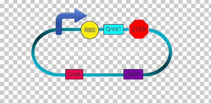 International Genetically Engineered Machine Plasmid BioBrick Promoter Genetic Engineering PNG, Clipart, Antimicrobial Resistance, Area, Biobrick, Brand, Circle Free PNG Download