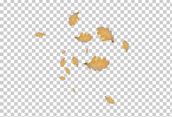 Leaf PNG, Clipart, Float, Leaf, Petal, Tree, Yellow Free PNG Download