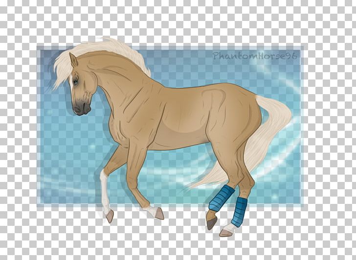 Mustang Stallion Mare Halter Rein PNG, Clipart, Bridle, Halter, Horse, Horse Like Mammal, Horse Supplies Free PNG Download