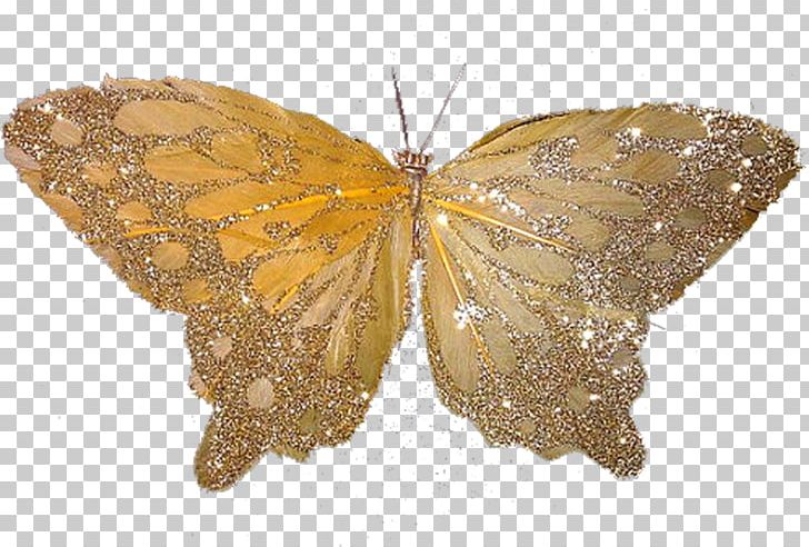 Nymphalidae Pieridae Moth Butterfly PNG, Clipart, Arthropod, Brush Footed Butterfly, Butterfly, Insect, Insects Free PNG Download