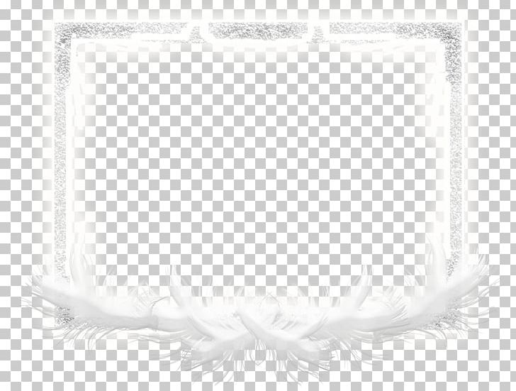 White Feather Frames Rectangle PNG, Clipart, Animals, Black And White, Feather, Monochrome, Monochrome Photography Free PNG Download