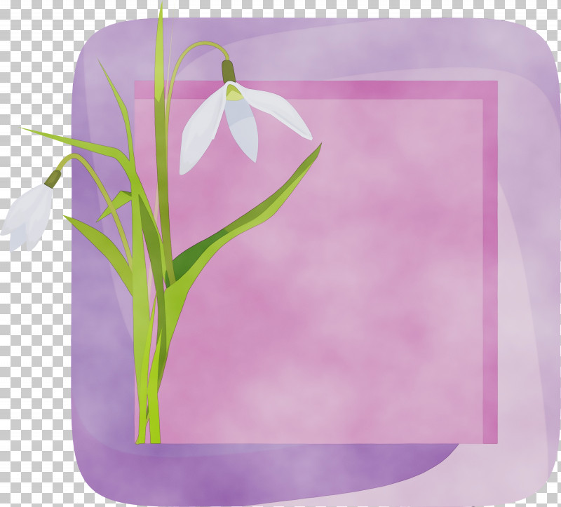 Lavender PNG, Clipart, Flower, Flower Frame, Flower Photo Frame, Lavender, Magenta Free PNG Download