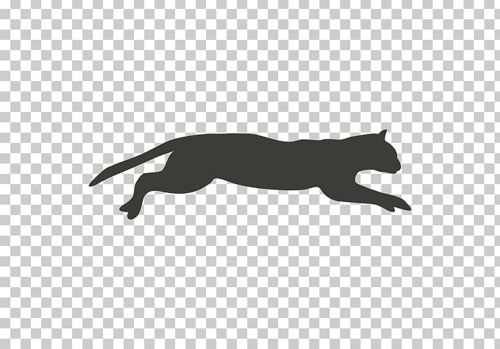 Cat Animation PNG, Clipart, Animals, Animation, Black, Black And White, Carnivora Free PNG Download