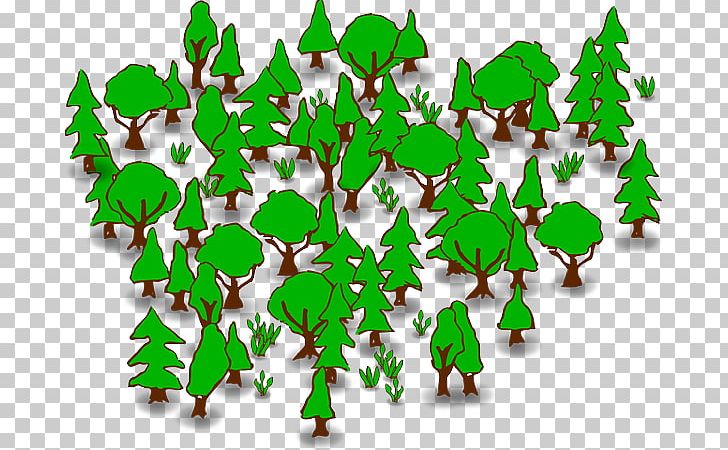 Open Free Content Forest Portable Network Graphics PNG, Clipart, Branch, Christmas, Christmas Decoration, Christmas Ornament, Document Free PNG Download