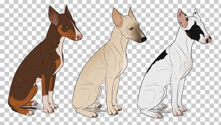 Dog Breed Ibizan Hound Italian Greyhound PNG, Clipart, Breed, Bull Terrier, Carnivoran, Dog, Dog Breed Free PNG Download