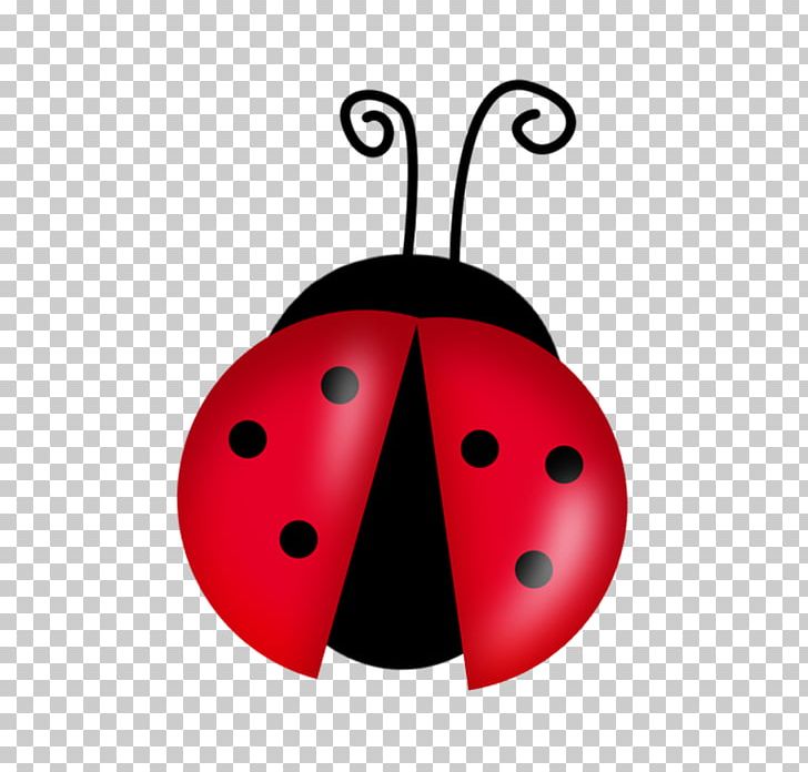 Drawing Cartoon PNG, Clipart, Animals, Beetle, Cartoon, Clip Art, Drawing Free PNG Download