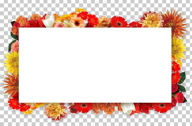 Floral Design Cut Flowers Transvaal Daisy Frames PNG, Clipart, Art, Cut Flowers, Floral Design, Floristry, Flower Free PNG Download