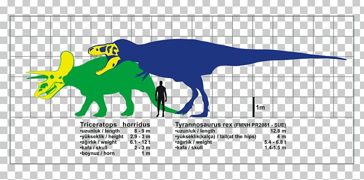 Tyrannosaurus Triceratops Spinosaurus Tarbosaurus Giganotosaurus PNG, Clipart, Angle, Area, Beak, Brand, Cartoon Free PNG Download