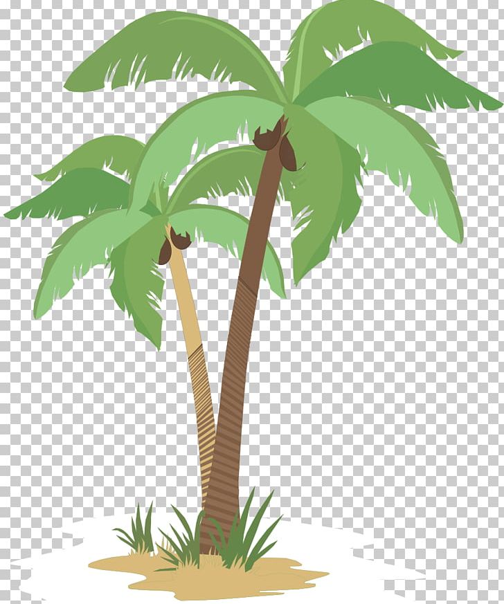 Coconut Arecaceae Flowerpot Tree Plant Stem PNG, Clipart, Arecaceae, Arecales, Coconut, Flowering Plant, Flowerpot Free PNG Download