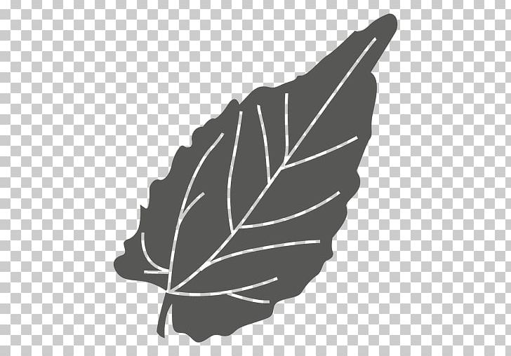 Leaf Halesia Diptera Line PNG, Clipart, Birch, Black And White, Bodybuilders, Encapsulated Postscript, Halesia Free PNG Download