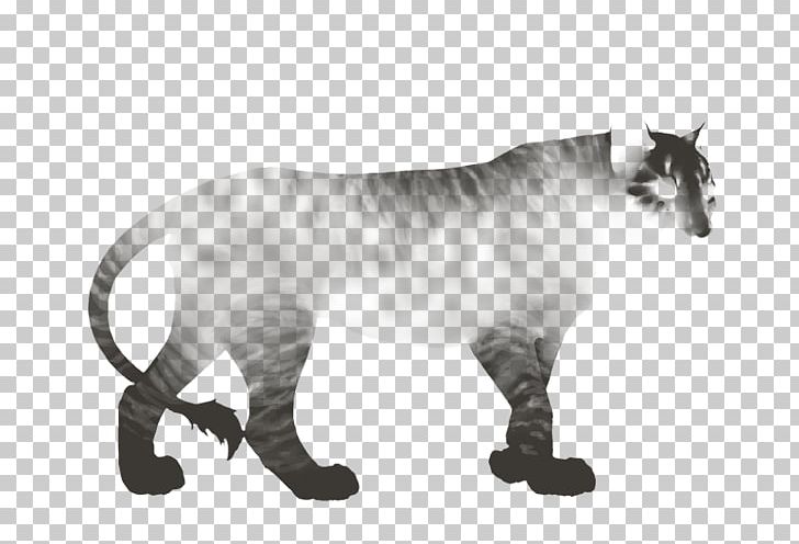 Tiger Whiskers Cat Lion Cougar PNG, Clipart, Animal Figure, Animals, Big Cat, Big Cats, Black And White Free PNG Download