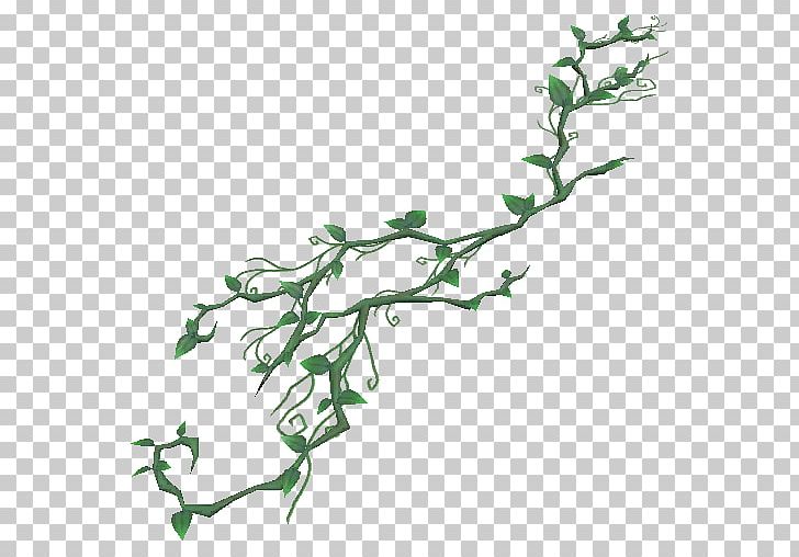 Plant Stem Vine Jungle Tree PNG, Clipart, Biome, Branch, Crossword, Drawing, Flora Free PNG Download