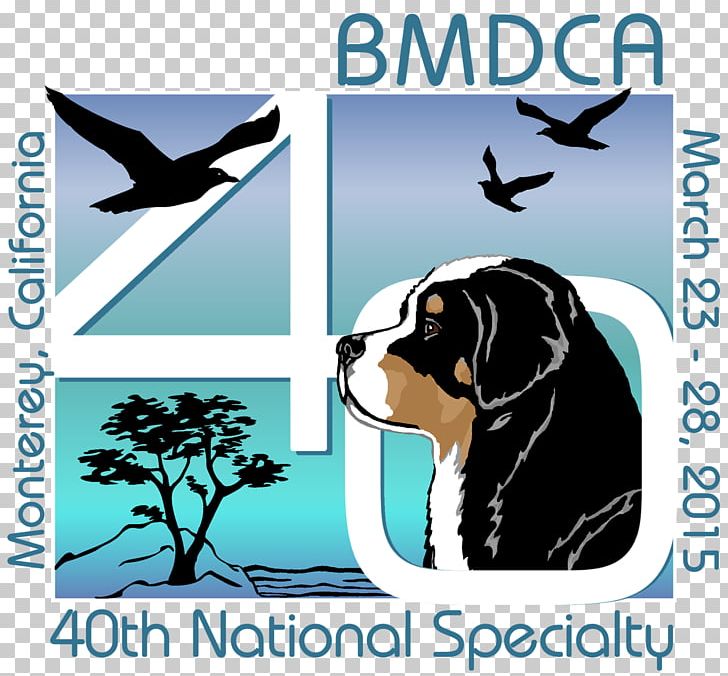 Bernese Mountain Dog Pyrenean Shepherd Bearded Collie Great Pyrenees PNG, Clipart, Advertising, American Kennel Club, Beak, Bearded Collie, Bernese Mountain Dog Free PNG Download