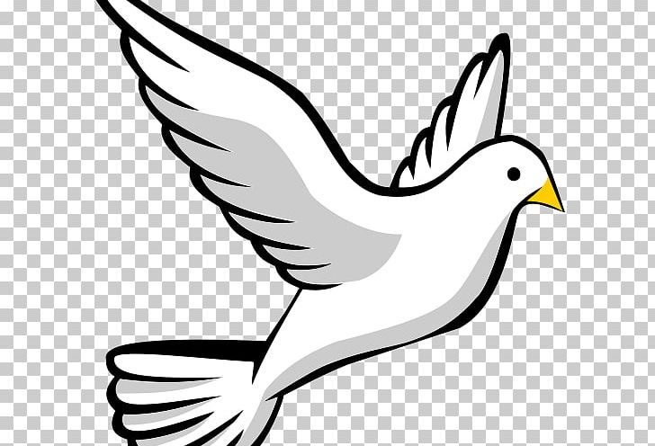 Columbidae Homing Pigeon Bird Racing Homer PNG, Clipart, Animals, Artwork, Beak, Bird, Black And White Free PNG Download