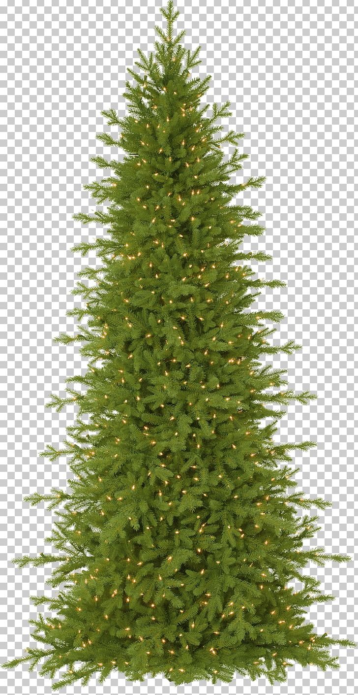 Picea Rubens Balsam Hill Artificial Christmas Tree Balsam Fir PNG, Clipart, Balsam Fir, Balsam Hill, Biome, Blue Spruce, Branch Free PNG Download