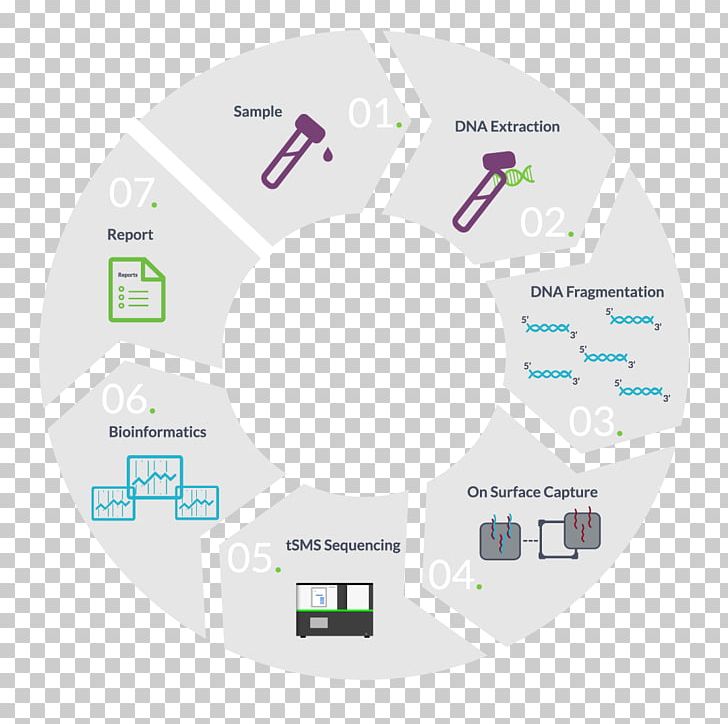 RNA-Seq Genomics Real-time Polymerase Chain Reaction DNA PNG, Clipart, Amplifikacija, Biopsy, Brand, Cell, Communication Free PNG Download