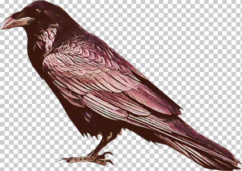 Bird Raven Beak Crow European Starling PNG, Clipart, Beak, Bird, Crow, European Starling, Perching Bird Free PNG Download