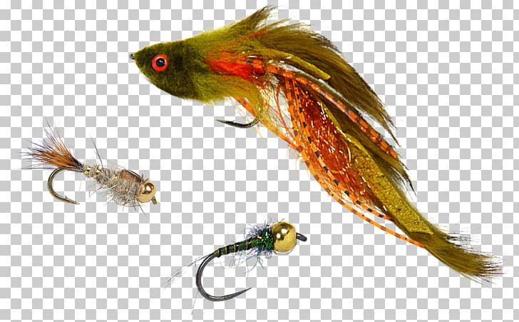 Fly Fishing Pheasant Tail Nymph Trout Artificial Fly PNG, Clipart,  Free PNG Download