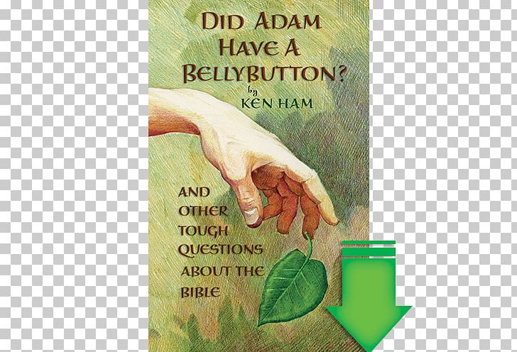 Did Adam Have A Belly Button Bible Book Navel Spirituality PNG, Clipart, Advertising, Alternative Health Services, Answer My Prayer, Bible, Book Free PNG Download
