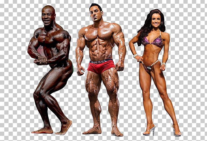 Fitness And Figure Competition Female Bodybuilding Muscle Human Body PNG, Clipart, Abdomen, Arm, Armon, Bodybuilder, Bodybuilding Free PNG Download
