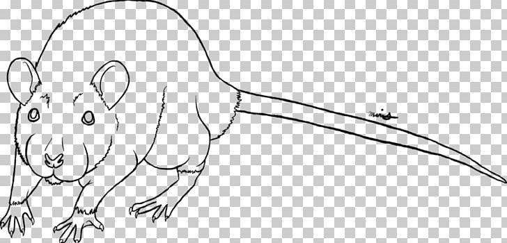 Line Art Whiskers Drawing PNG, Clipart, Arm, Beak, Carnivoran, Cartoon, Cat Like Mammal Free PNG Download