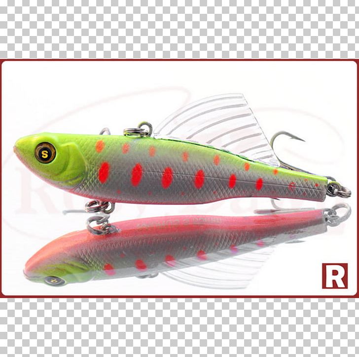 Spoon Lure Plug Northern Pike Fishing Baits & Lures PNG, Clipart, Angling, Asp, Bait, Centimeter, China Free PNG Download