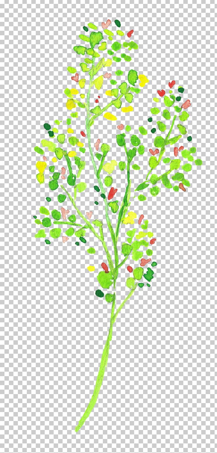 Twig Green Tree Color PNG, Clipart, Background Green, Branch, Branches, Christmas Tree, Color Free PNG Download