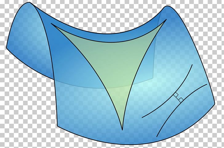 Differential Geometry Hyperbolic Geometry Mathematics Euclidean Geometry PNG, Clipart, Algebra, Angle, Curvature, Differential Calculus, Differential Equation Free PNG Download
