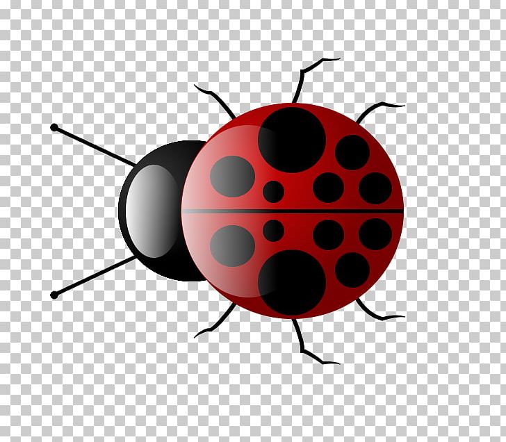 Insect Ladybird Drawing PNG, Clipart, Animals, Beetle, Bugs, Drawing, Gimp Free PNG Download