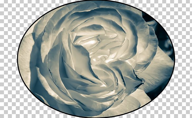 Petal PNG, Clipart, Blue, Blue Rose, Curtain, Flower, Others Free PNG Download
