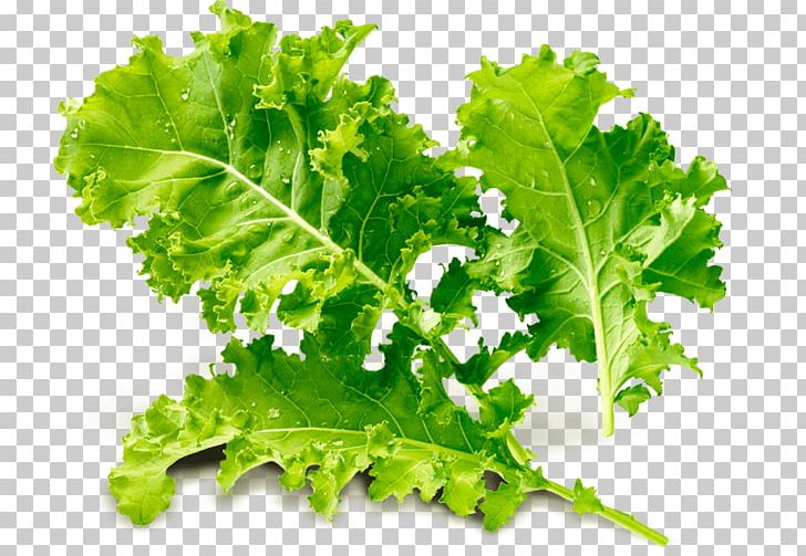 Romaine Lettuce Spring Greens Collard Greens Kale Rapini PNG, Clipart, Collard Greens, Food, Food Drinks, Herb, Kale Free PNG Download
