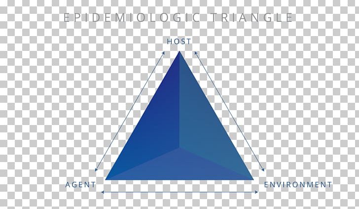 Brand Triangle PNG, Clipart, Angle, Area, Art, Blue, Brand Free PNG Download