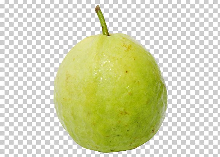 Guava Fruit PNG, Clipart, Apple, Clip Art, Common Guava, Computer Icons, Download Free PNG Download