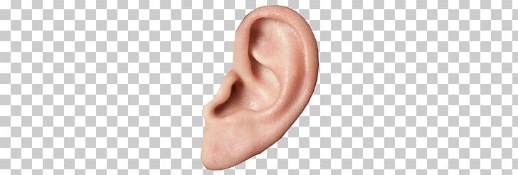 Small Ear PNG, Clipart, Ears, People Free PNG Download