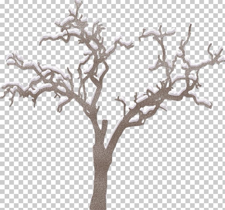 Twig Tree PNG, Clipart, Black And White, Branch, Download, Encapsulated Postscript, Houseplant Free PNG Download