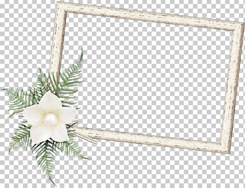Picture Frame PNG, Clipart, Interior Design, Paint, Picture Frame, Pine Family, Plant Free PNG Download