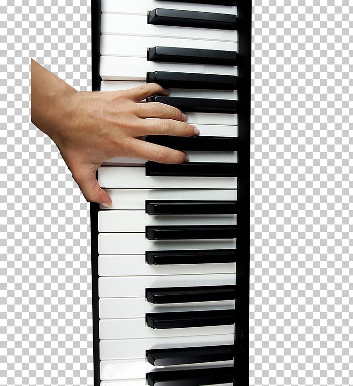 Digital Piano Electric Piano Electronic Keyboard Musical Keyboard Player Piano PNG, Clipart, Digital Piano, Electric Piano, Electronic Instrument, Electronic Keyboard, Input Device Free PNG Download