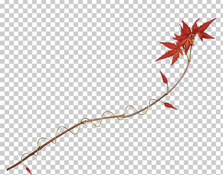 Maple Leaf Petal Autumn PNG, Clipart, Abscission, Autumn , Blog, Branch, Download Free PNG Download