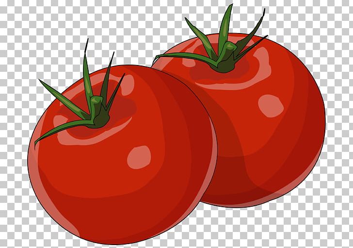 Plum Tomato Bush Tomato Food Gofio PNG, Clipart, Bush Tomato, Canarian Wrinkly Potatoes, Cereal, Cultivar, Diet Food Free PNG Download