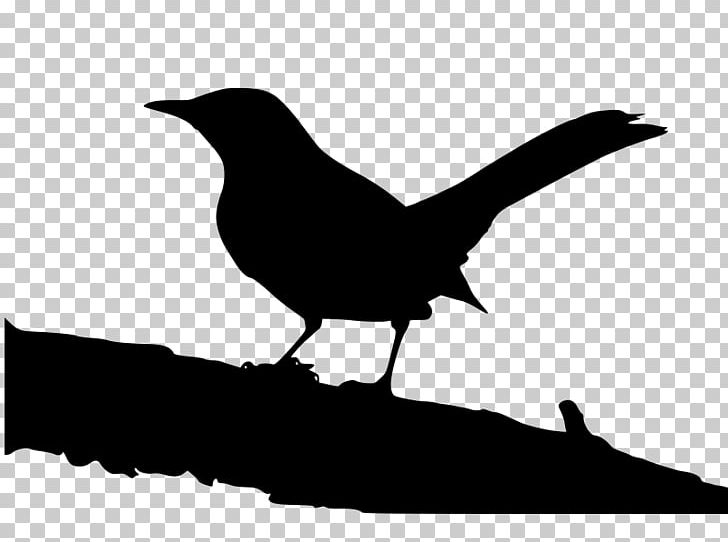 To Kill A Mockingbird Jean Louise 'Scout' Finch PNG, Clipart,  Free PNG Download