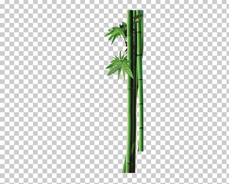 Bambusa Oldhamii Bamboo Dew PNG, Clipart, Adobe Illustrator, Angle, Bamboo Border, Bamboo Frame, Bamboo Leaf Free PNG Download