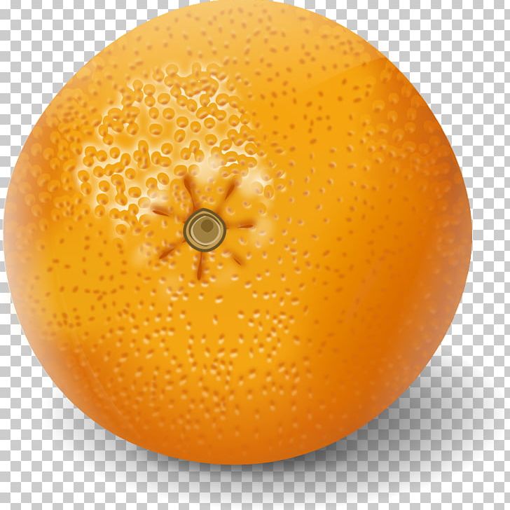 Clementine Orange Juice Valencia Orange Mandarin Orange PNG, Clipart, Bitter Orange, Chenpi, Citric Acid, Citrus, Citrus Junos Free PNG Download