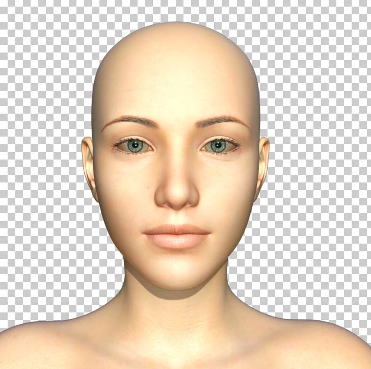 DAS Productions Inc Eyebrow Morphing Face 3D Computer Graphics PNG, Clipart, 3d Computer Graphics, Baked Beans, Cheek, Chin, Computer Graphics Free PNG Download