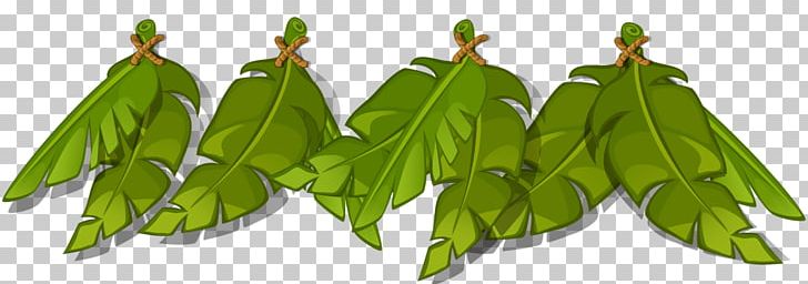 Leaf Cartoon Plant Stem PNG, Clipart, Cartoon, Grass, Green, Leaf, Nature Free PNG Download