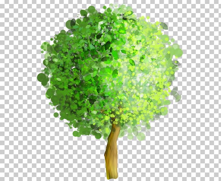 Tree Art Painting PNG, Clipart, Abstract Art, Art, Branch, Desktop Wallpaper, Herb Free PNG Download