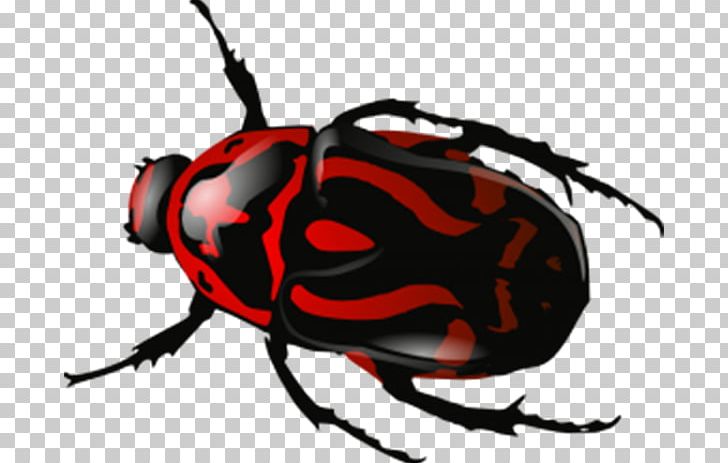 Volkswagen Beetle PNG, Clipart, Animals, Arthropod, Beetle, Blog, Check Mark Free PNG Download